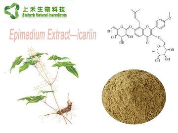 China Polvo masculino Icariin 5-98% del extracto de la hierba del Epimedium del polvo del aumento de la mala hierba córnea de la cabra proveedor