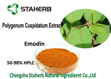 China Extractos naturales puros de la planta del polvo de la emodina del 98%, extracto de la raíz de Cuspidatum del Polygonum proveedor
