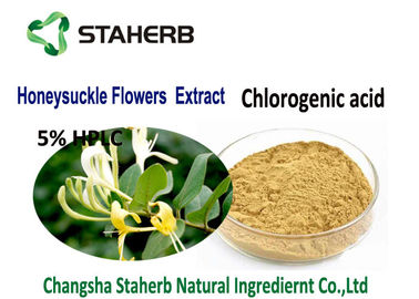 China Categoría alimenticia amarilla clara del polvo del extracto ácido Chlorogenic de las flores de la madreselva proveedor