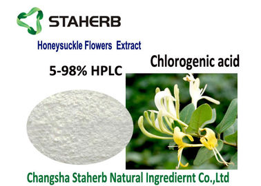 China Extracto ácido Chlorogenic del grado de Pharma, extracto natural de la flor de la madreselva del API proveedor