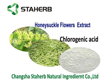 China extracto natural ácido Chlorogenic puro CAS de la planta 80%HPLC 327 97 9 productos de la salud proveedor