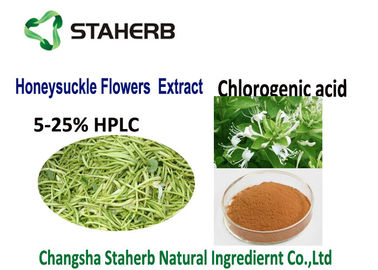 China Extracto ácido Chlorogenic 50-90%HPLC inflamatorio anti CAS de la planta natural 327 97 9 proveedor