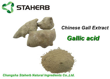 China Extractos naturales puros cosméticos de la planta, ácido gálico CAS del polvo del extracto de Gallnut 149 91 7 proveedor