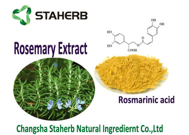 China Extracción supercrítica del CO2 de Rosemary de la hoja del color amarillo claro soluble en el aceite del polvo proveedor