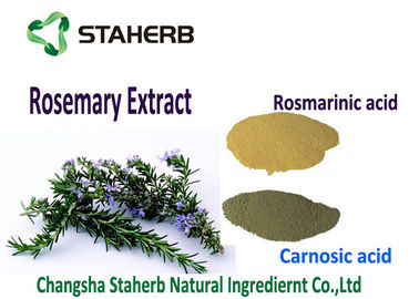 China Extracto marrón claro de la hoja de Rosemary del polvo, radicales libres de Rosemary de la matanza orgánica del extracto proveedor