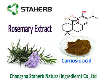 China Aditivo alimenticio de Souble del aceite del ácido 5-90% natural de Carnosic de los antioxidantes del extracto de la hoja de Rosemary buen proveedor