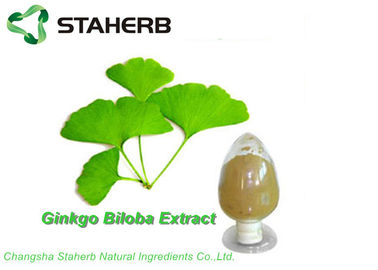 China Lactona orgánica antioxidante de la flavona el 6% del extracto GBE el 24% de la hoja de Biloba del Ginkgo por CLAR proveedor