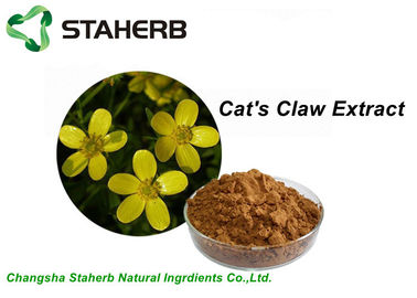 China Ratios herbarios del extracto del polvo de Brown amarillo, extracto P.E 5/1 de la garra del gato 10/1 20/1 TLC/CLAR proveedor