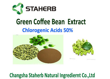 China Peso ácido Chlorogenic verde orgánico del control del polvo el 50% del extracto del grano de café proveedor