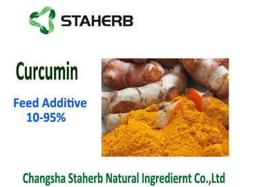 China Añadidos fitógenos de la alimentación de la materia prima, pureza del polvo 10-95% de la curcumina de la cúrcuma proveedor