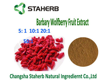 China Extracto natural 4/1 de la baya de Barbary Wolfberry Goji polvo de Brown de 10/1 ratio anti - tumor proveedor