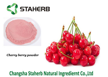 China Antioxidante deshidratado de la vitamina C del polvo de la cereza del polvo de la fruta proveedor
