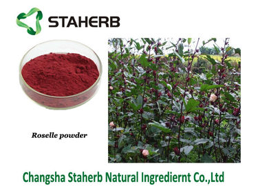 China Los extractos naturales puros de la planta del polvo de Roselle, extracto de Sabdariffa del hibisco contienen las antocianidinas Schisandrins proveedor