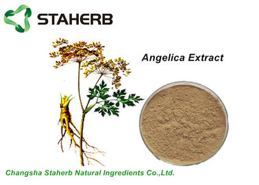 China CLAR natural del amarillo pardusco el 1% Ligustilide de Ligth del polvo del extracto de la raíz de la angélica de la planta proveedor
