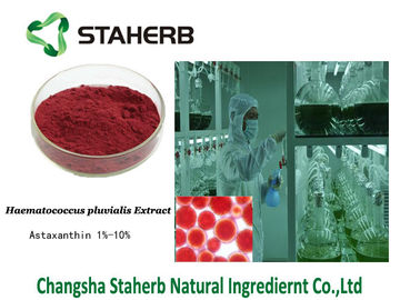 China La astaxantina 472-61-7 concentró el extracto del pluvialis de Haematococcus del extracto de la planta proveedor