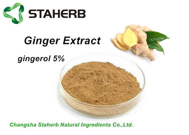 China Gingerol antibacteriano 5%-95% del extracto del jengibre del extracto de la planta por CLAR proveedor
