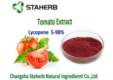 China Antienvejecedor soluble en agua del polvo del tomate del licopeno natural rojo oscuro del extracto 5%-98% proveedor