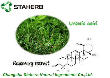 China Polvo ácido de Ursolic del extracto de la hoja de Antioxdent Rosemary para el producto de Cusmetic proveedor