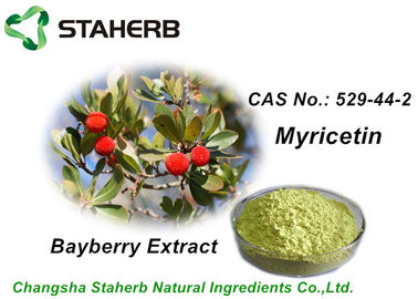 China Polvo antiinflamatorio del extracto de la planta de la miricetina el 98% del extracto de la corteza del Bayberry proveedor