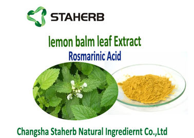 China Extractos herbarios naturales de la hoja del bálsamo de limón proveedor