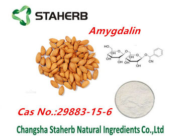 China Polvo amargo herbario de Amydalin del extracto de la semilla del albaricoque de los extractos naturales puros de la planta proveedor
