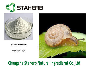 China Polvo cosmético natural del blanco de las materias primas del extracto del caracol de la proteína el 60% proveedor