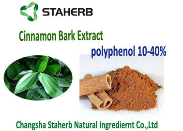 China Polifenoles antioxidantes kosher del canela del extracto 10-30% de la corteza de canela del suplemento dietético proveedor