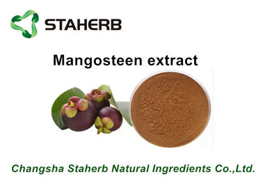 China Polvo herbario puro de Mangostin de los extractos del mangostán natural puro para Pharma proveedor