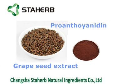 China Productos aptos antioxidantes de la atención sanitaria del suplemento dietético del extracto de la semilla de la uva proveedor