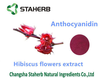 China Polvo cosmético natural de la antocianina el 10% de los ingredientes del extracto de la flor del hibisco proveedor