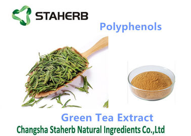 China Polifenoles antioxidantes del suplemento del polvo del polvo de Brown amarillo el 98% Cas 84650-60-2 proveedor