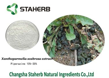 China Polvo herbario CAS antitumores 110-85-0 del extracto de Xanthoparmelia Scarbrosa de la piperacina proveedor