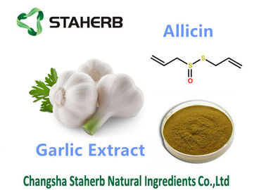 China Cas 539 86 6 extractos antibacterianos de la planta de Allicin, extractos antimicrobianos de la planta proveedor