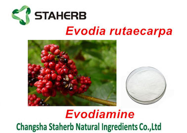 China La planta orgánica del extracto de Evodia Rutaecarpa extrae el polvo de Evodiamine para farmacéutico proveedor
