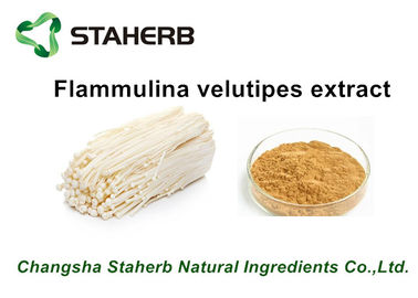 China Extractos naturales puros de la planta del poder, polisacáridos del extracto de Velutipes del Flammulina 10%-50% proveedor