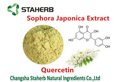 China Extracto de Japonica del Sophora que extrae las sustancias químicas de la quercetina el 98% de las plantas proveedor