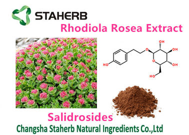 China La planta natural pura de la salud del extracto femenino de Rhodiola Rosea extrae Salidrosides el 3% proveedor