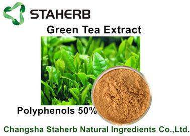 China Polifenoles naturales del extracto del té verde de los extractos de la planta del polvo de Brown amarillo el 50% por CLAR proveedor
