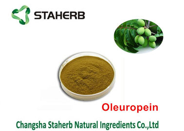 China Oleuropeína extractos verdes naturales del 40% - del 80%, extrayendo las sustancias químicas de las plantas proveedor