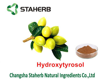 China Extracto herbario de la planta de la hoja verde oliva, tipo herbario orgánico de la extracción solvente de los extractos proveedor