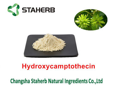 China La planta natural pura de Camptothecae Acuminatae extrae Hydroxycamptothecin el 98% proveedor