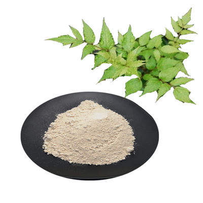 China la planta natural extrae dihydromyricetin del extracto del té de la vid para proteger la bebida del hígado y de la resaca proveedor
