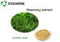 Polvo ácido de Ursolic del extracto de la hoja de Antioxdent Rosemary para el producto de Cusmetic proveedor