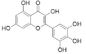 Polvo antiinflamatorio del extracto de la planta de la miricetina el 98% del extracto de la corteza del Bayberry proveedor