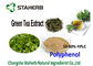 Extracto orgánico del té verde de los suplementos antioxidantes de la comida de la naturaleza pureza de 20 - del 98% proveedor
