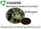 Extracto negro de la fruta de Barbary Wolfberry, ingredientes alimentarios naturales para la bebida proveedor