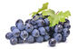 Resveratrol cosmético natural el 5% Cas No.501-36-0 de los ingredientes del extracto de la piel de la uva proveedor