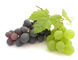 Resveratrol cosmético natural el 5% Cas No.501-36-0 de los ingredientes del extracto de la piel de la uva proveedor