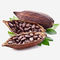 Polvo de cacao alcalizado deshidratado extracto natural de la categoría alimenticia del polvo de la fruta del cacao proveedor