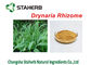 Polvo concentrado extracto de Rhizoma Drynariae del extracto de la planta del rizoma del Drynaria proveedor